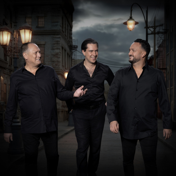 stochelo-rosenberg-trio-c-all-rights-reserved-jazzei
